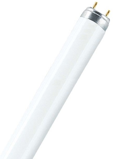 Люминесцентная  лампа L 36W/640 25X1 FED      OSRAM