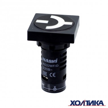 4810228009244 Индикаторы положения AD22 WF/D 220В d22мм AC/DC HASKI
