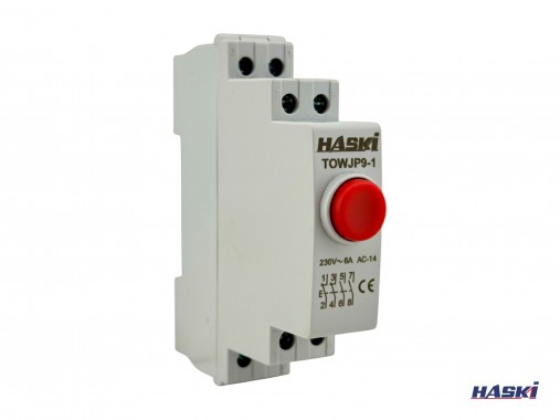 Кнопка BL красная 2НО+2НР HASKI 