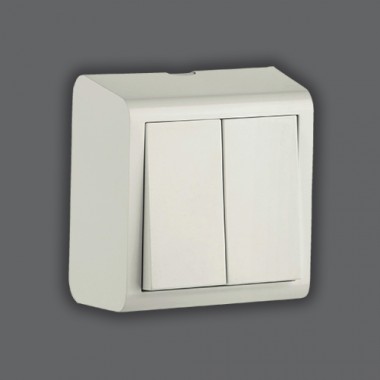 Выключатель двойной NIVO