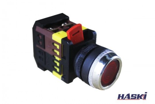 Кнопка АBLFS-22 красный d22мм неон/240В 1з+1р HASKI