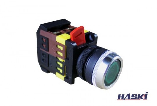 Кнопка АBLFS-22 зеленый d22мм неон/240В 1з+1р HASKI