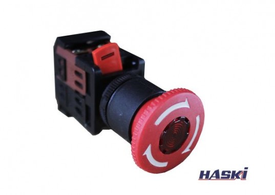 Кнопка перекл. AE-22 "Грибок" поворотная с фикс. HASKI