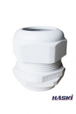 Сальник PG 48 HASKI